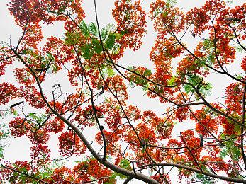 《怪物猎人崛起：曙光》新映像见闻录 相机追加新功能